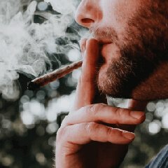 Lifestyle habit reminder